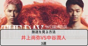 井上尚弥VS中谷潤人の放送を見る方法3選！ドコモMAXはPPV不要